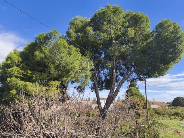 6 quarto Quinta/Casa Rural para venda em Múrcia cidade - 335 000 € (Ref: 9618823)