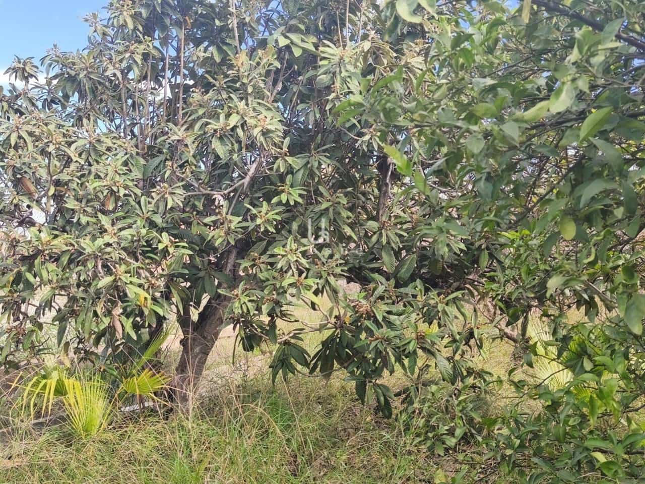 6 quarto Quinta/Casa Rural para venda em Murcia cidade - 335 000 € (Ref: 9618823)