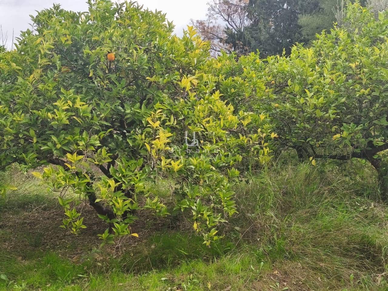 6 quarto Quinta/Casa Rural para venda em Murcia cidade - 335 000 € (Ref: 9618823)