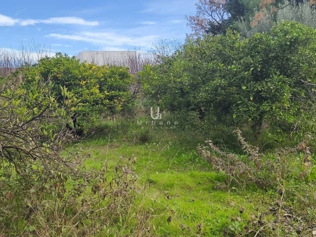 6 quarto Quinta/Casa Rural para venda em Múrcia cidade - 335 000 € (Ref: 9618823)