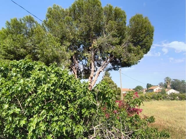 6 quarto Quinta/Casa Rural para venda em Múrcia cidade - 295 000 € (Ref: 9618823)