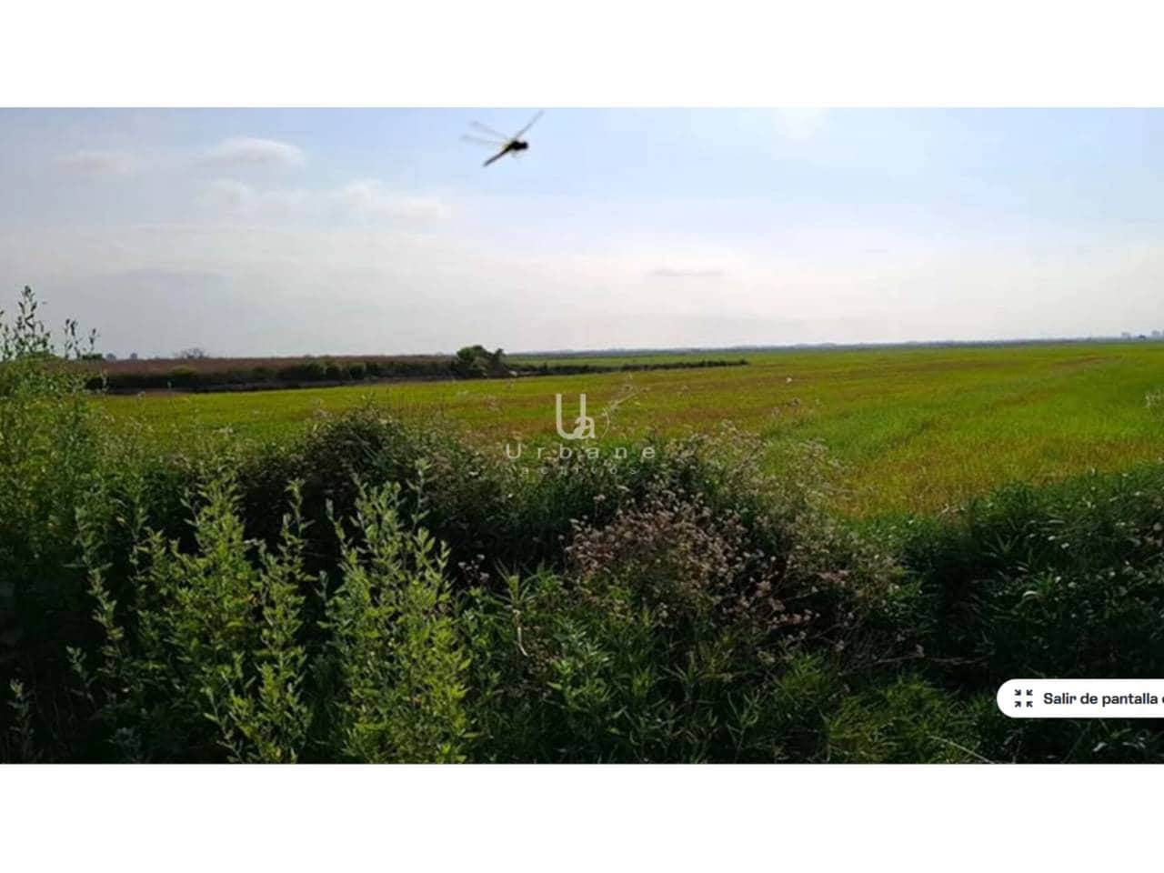 Terreno/Finca Rústica en Silla en venta - 11.000 € (Ref: 9632921)