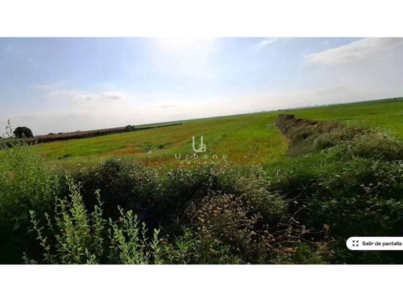 Terreno/Finca Rústica en Silla en venta - 11.000 € (Ref: 9632921)