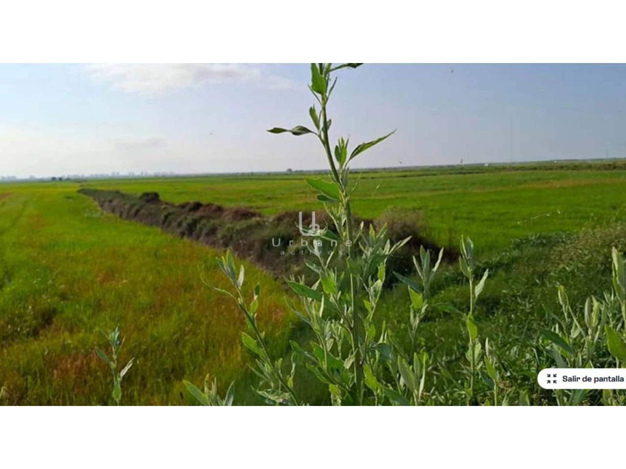 Terreno/Finca Rústica en Silla en venta - 11.000 € (Ref: 9632921)