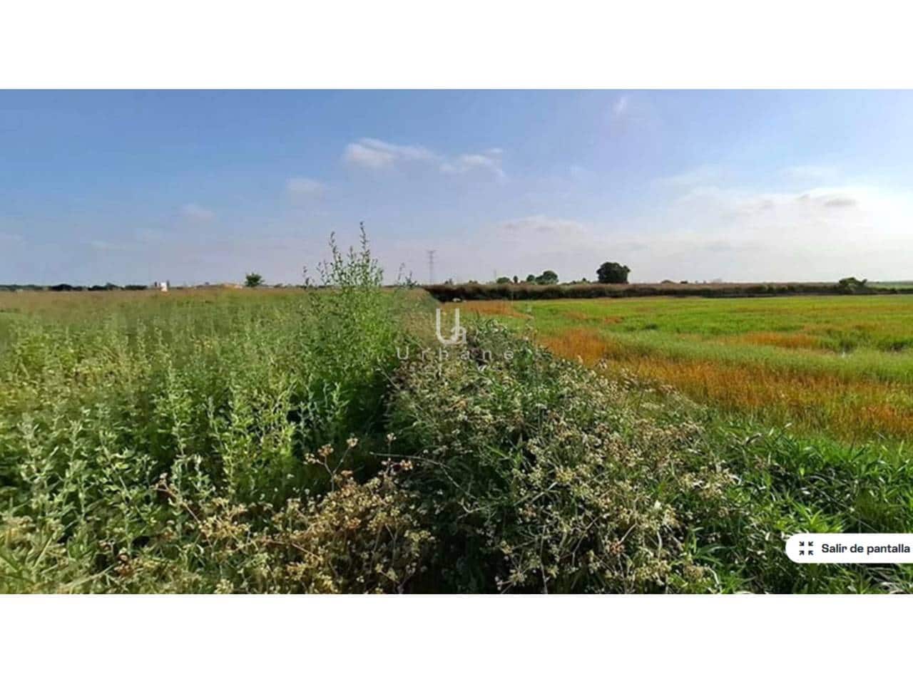 Terreno/Finca Rústica en Silla en venta - 11.000 € (Ref: 9632921)