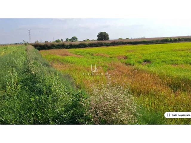 Terreno/Finca Rústica en Silla en venta - 11.000 € (Ref: 9632921)