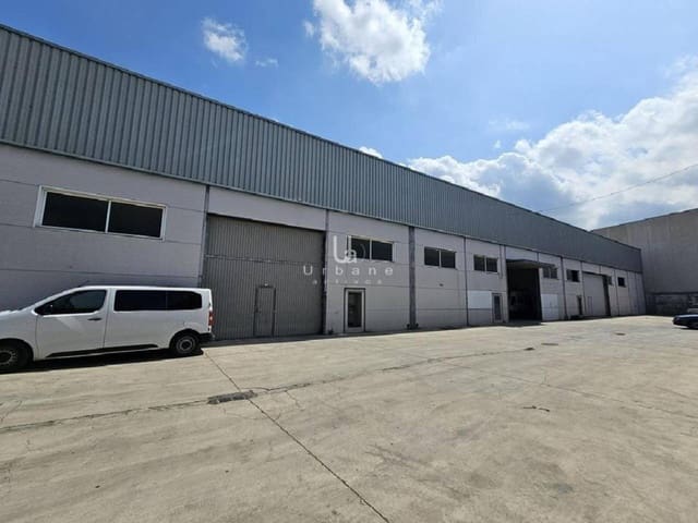 Bedrijf te koop in Alzira - € 200.000 (Ref: 9636264)