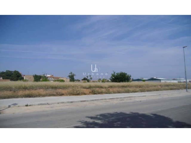 Rakentamaton maa myytävänä paikassa Carcaixent - 175 000 € (Ref: 9636269)