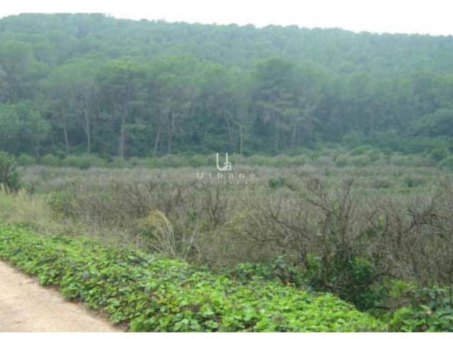 Finca/Casa di Campagna in vendita in Alzira - 16.000 € (Rif: 9636273)