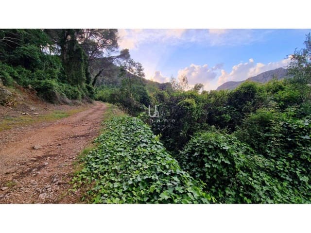 Finca/Casa di Campagna in vendita in Alzira - 16.000 € (Rif: 9636273)