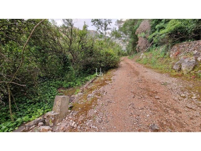 Finca/Casa di Campagna in vendita in Alzira - 16.000 € (Rif: 9636273)