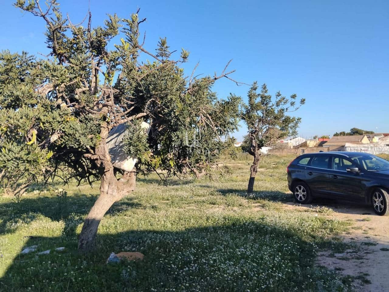 Grunde uden byggetilladelser til salg i Torre-Pacheco - € 108.000 (Ref: 9755215)