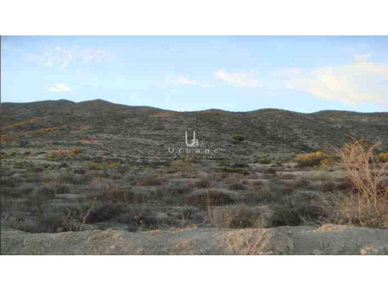 Działka budowlana na sprzedaż w Banos y Mendigo - 48 000 € (Ref: 9796577)