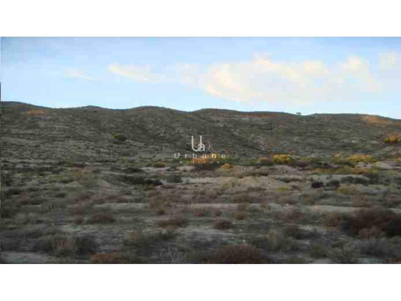 Działka budowlana na sprzedaż w Banos y Mendigo - 48 000 € (Ref: 9796577)