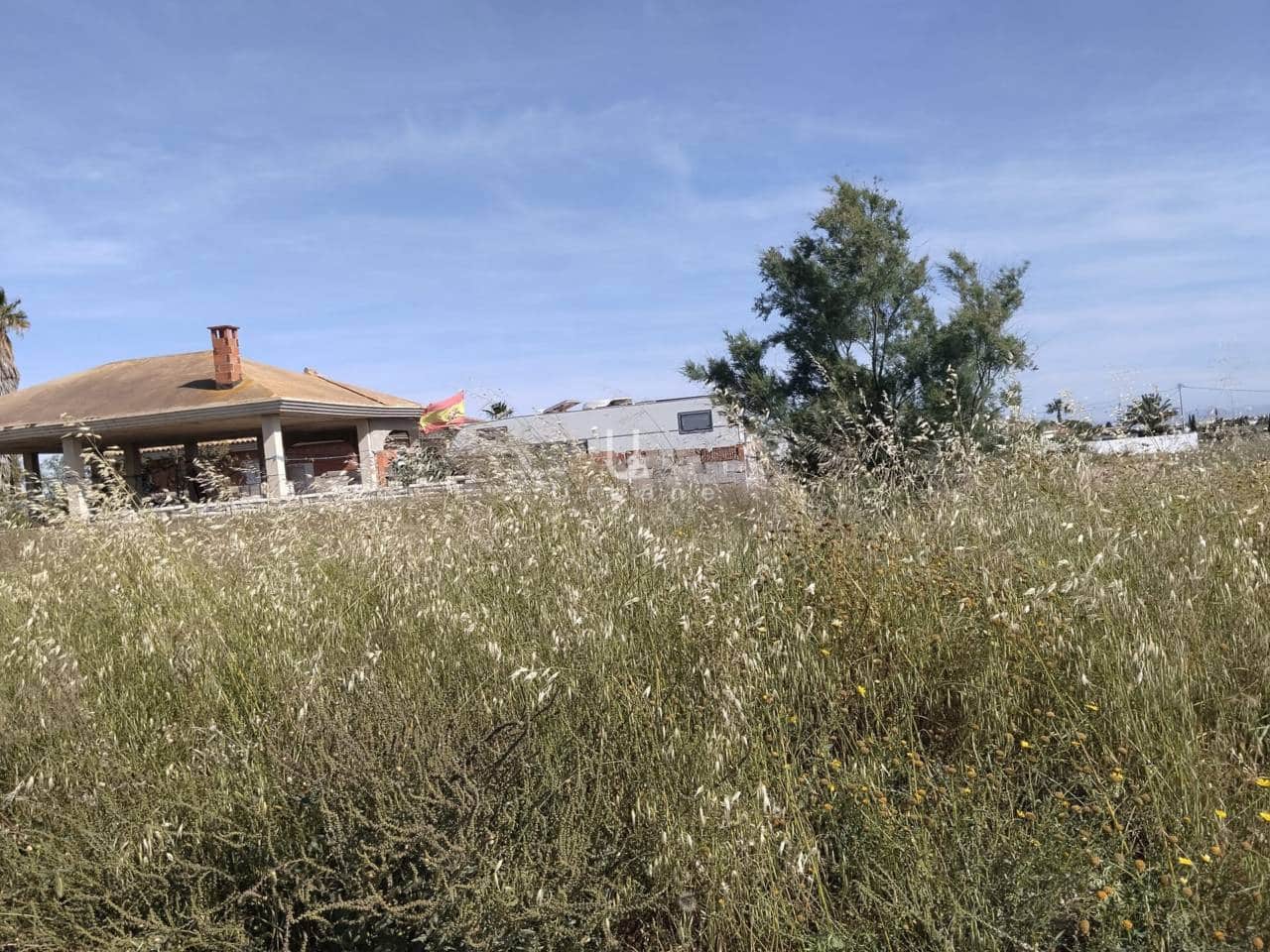Undeveloped Land for sale in Murcia city - € 148,000 (Ref: 9816860)