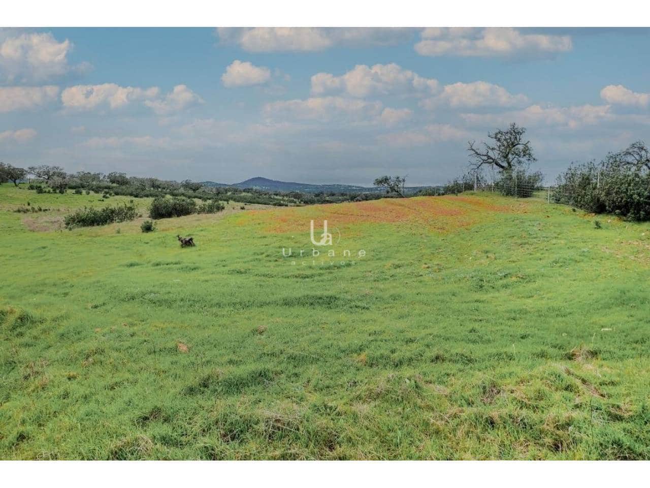 Finca/Country House for sale in Puebla de Guzman - € 950,000 (Ref: 9889657)