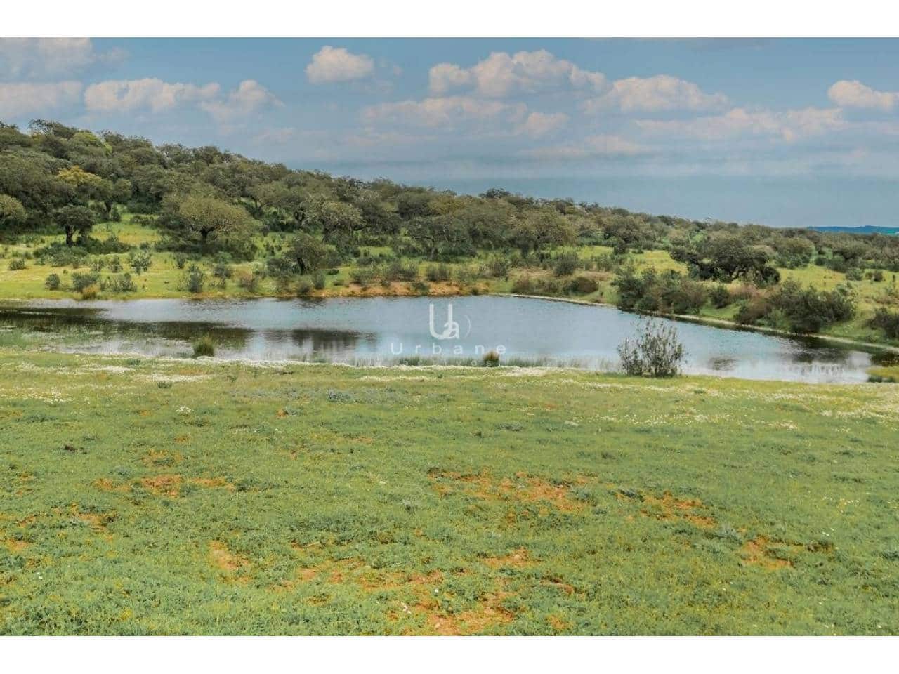 Finca/Country House for sale in Puebla de Guzman - € 950,000 (Ref: 9889657)