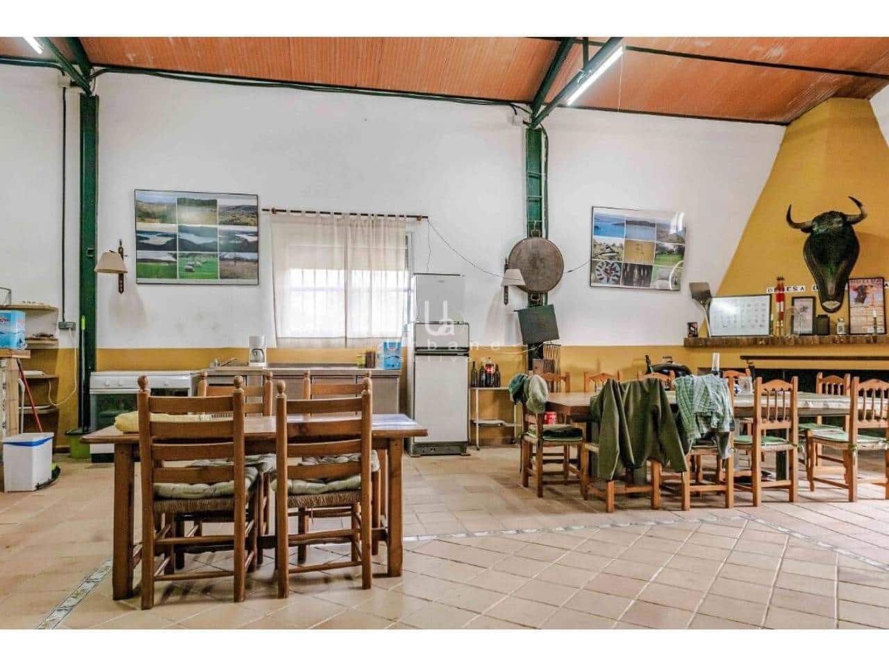 Finca/Country House for sale in Puebla de Guzman - € 950,000 (Ref: 9889657)