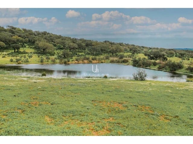 Finca/Country House for sale in Puebla de Guzmán - € 950,000 (Ref: 9889657)
