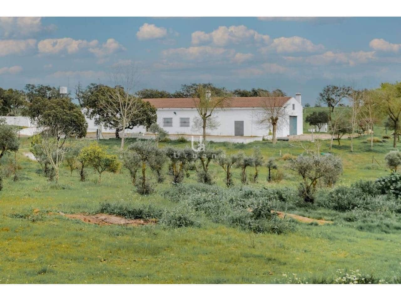 Finca/Country House for sale in Puebla de Guzman - € 950,000 (Ref: 9889657)