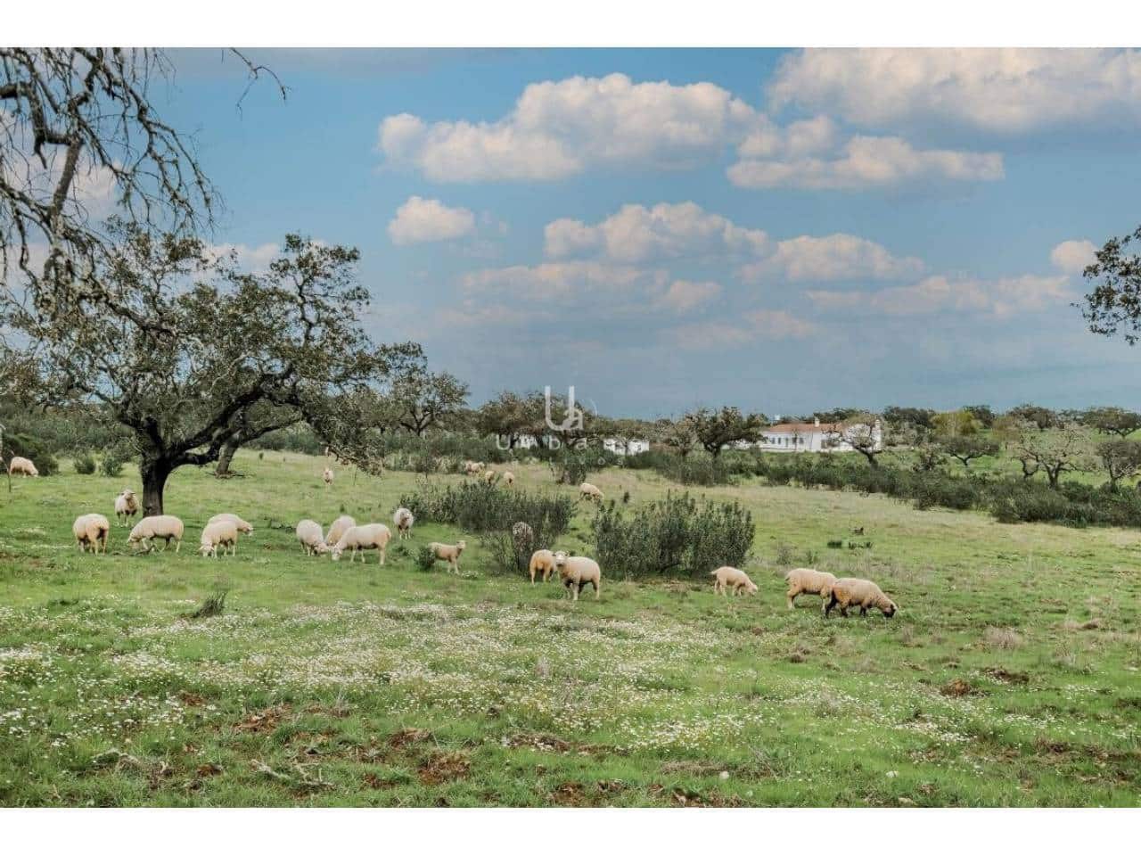 Finca/Country House for sale in Puebla de Guzman - € 950,000 (Ref: 9889657)