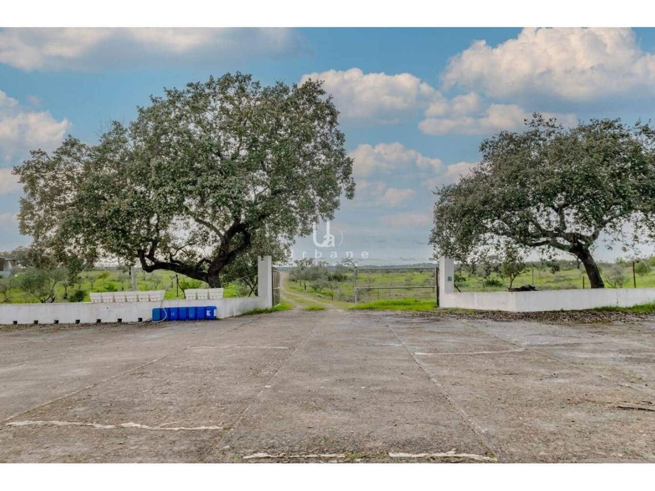 Finca/Country House for sale in Puebla de Guzman - € 950,000 (Ref: 9889657)