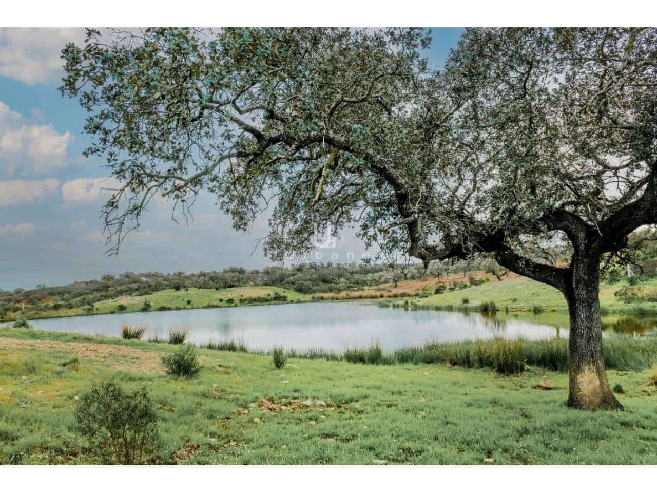 Finca/Country House for sale in Puebla de Guzman - € 950,000 (Ref: 9889657)