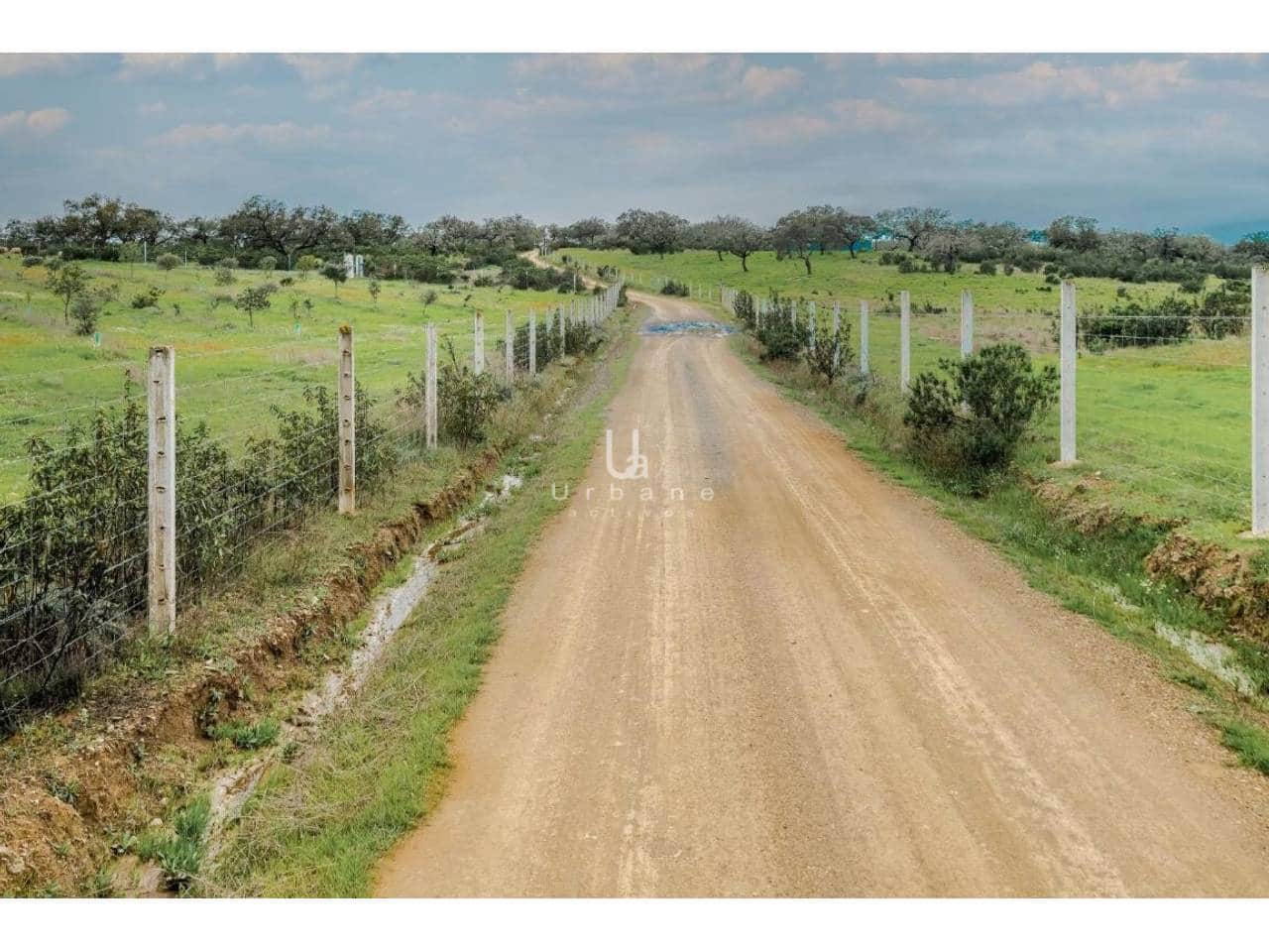 Finca/Country House for sale in Puebla de Guzman - € 950,000 (Ref: 9889657)