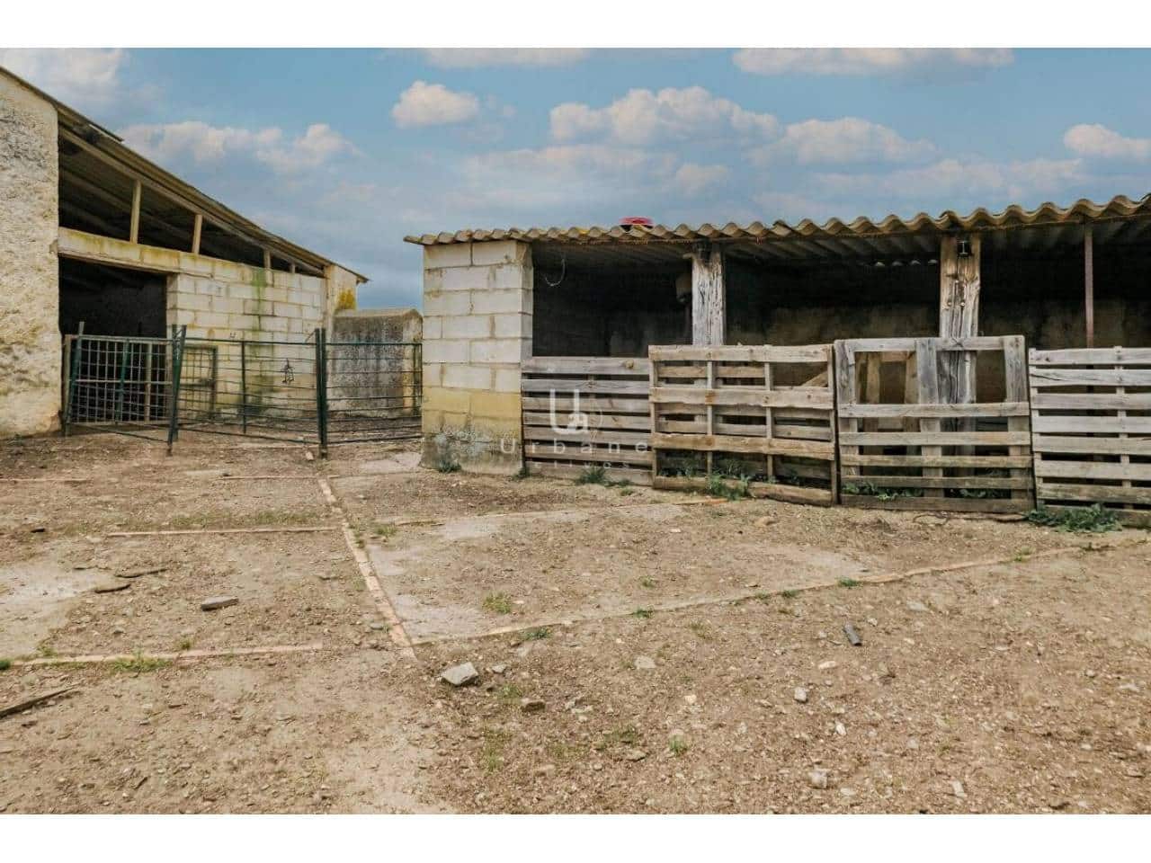 Finca/Country House for sale in Puebla de Guzman - € 950,000 (Ref: 9889657)