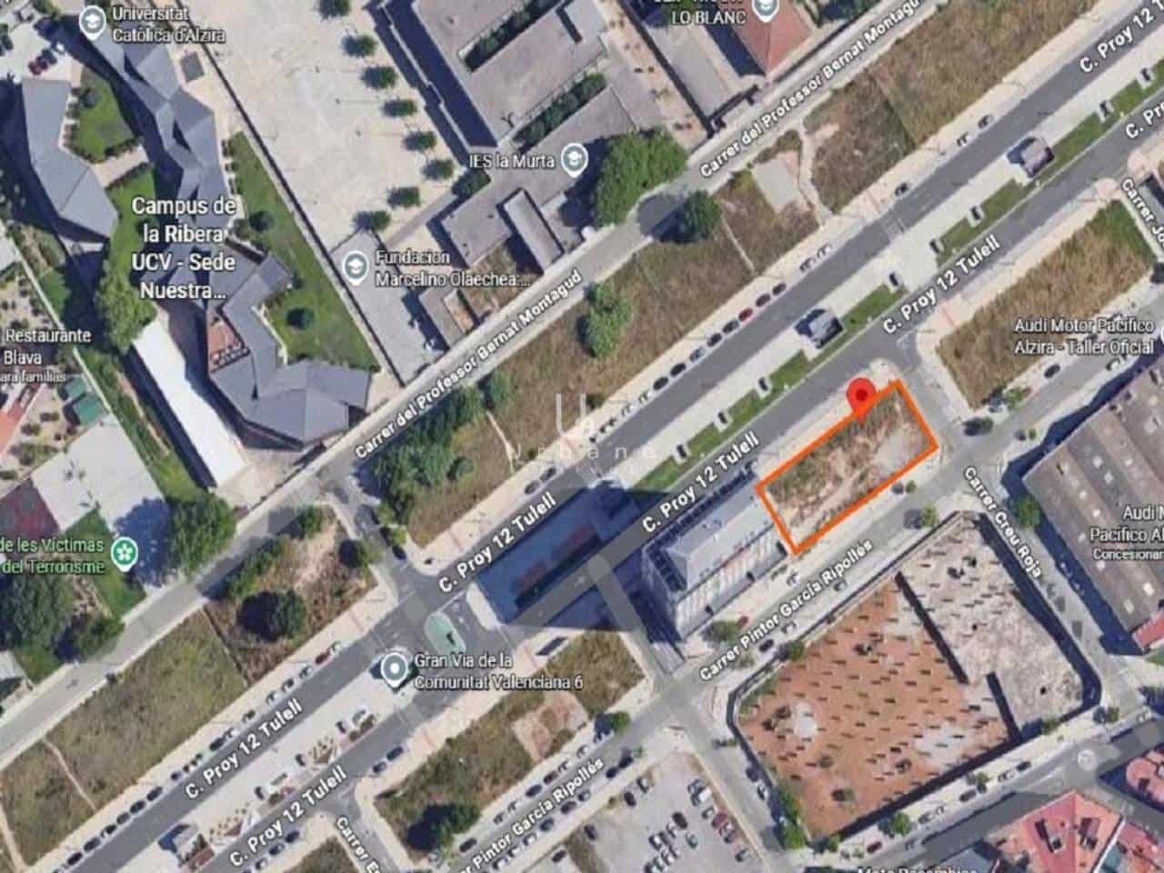 Terreno/Finca Rústica en Alzira en venta - 1.148.000 € (Ref: 9891514)