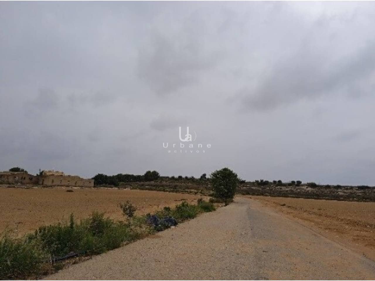 Undeveloped Land for sale in Banos y Mendigo - € 36,000 (Ref: 9972890)