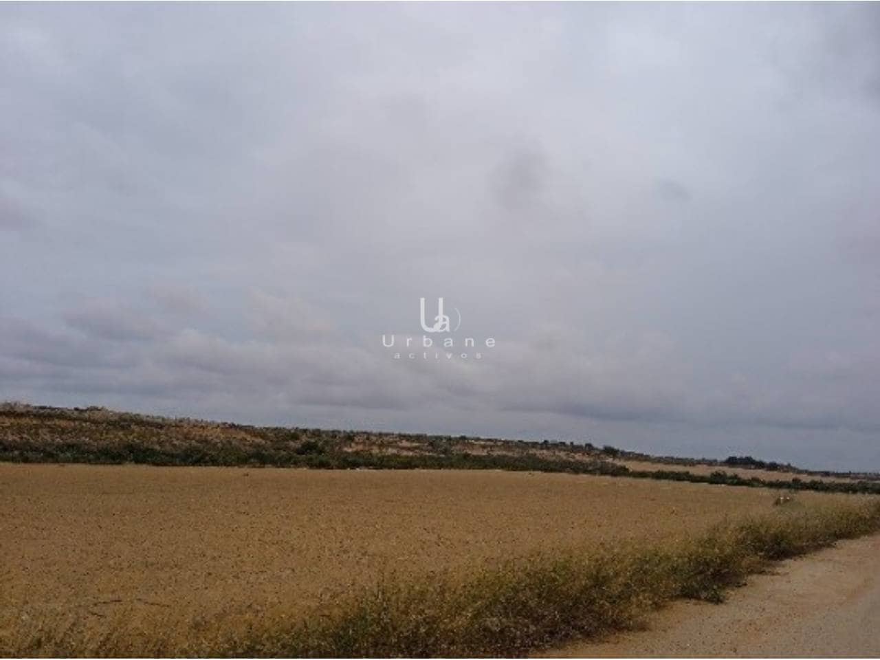 Undeveloped Land for sale in Banos y Mendigo - € 36,000 (Ref: 9972890)
