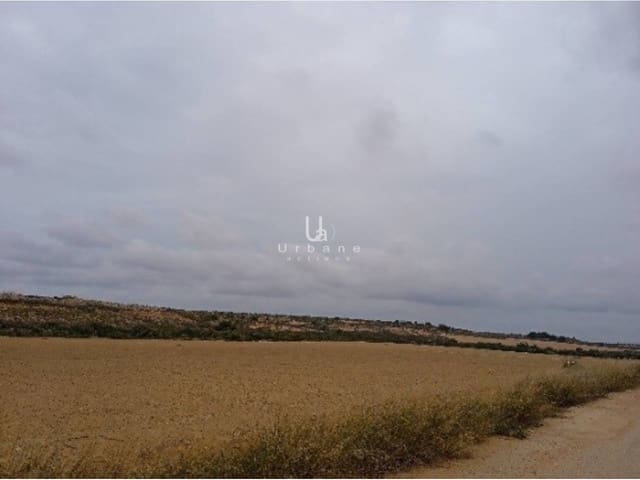 Grond te koop in Baños y Mendigo, Murcia stad - € 36.000 (Ref: 9972890)