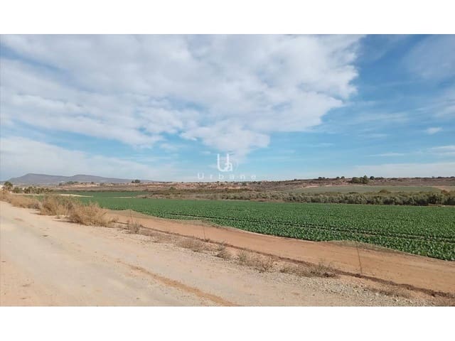 Grond te koop in Baños y Mendigo, Murcia stad - € 36.000 (Ref: 9972890)