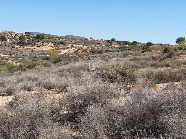 Grond te koop in Baños y Mendigo, Murcia stad - € 36.000 (Ref: 9972890)