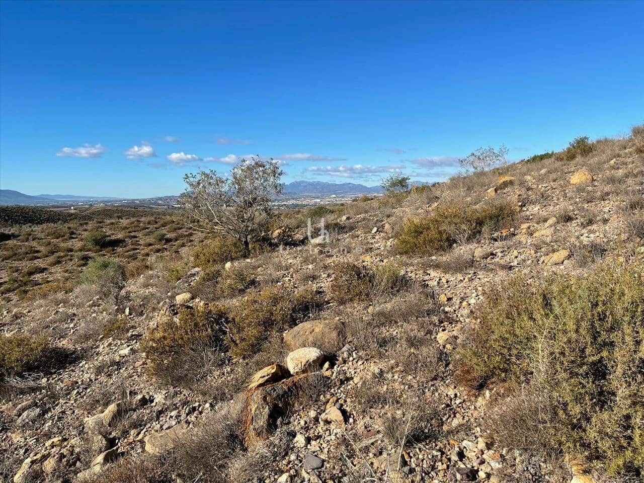 Undeveloped Land for sale in Molina de Segura - € 1,568,300 (Ref: 9972891)