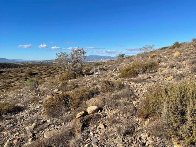 Mark till salu i Molina de Segura - 1 568 300 € (Ref: 9972891)