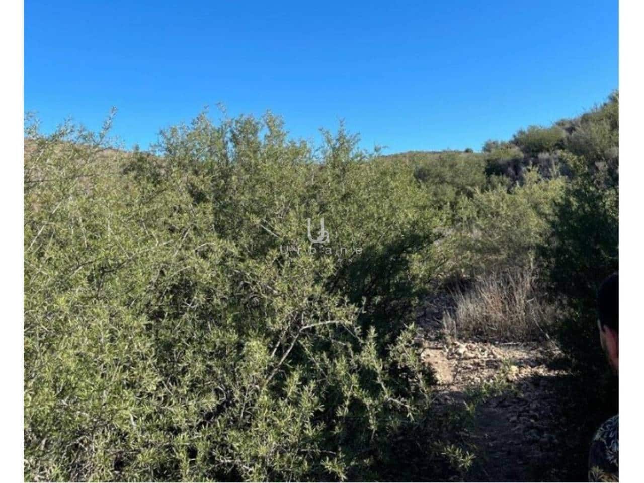 Undeveloped Land for sale in Molina de Segura - € 1,568,300 (Ref: 9972891)