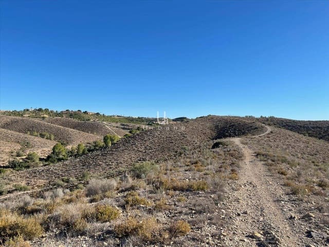 Mark till salu i Molina de Segura - 1 568 300 € (Ref: 9972891)