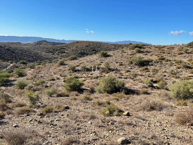 Mark till salu i Molina de Segura - 1 568 300 € (Ref: 9972891)
