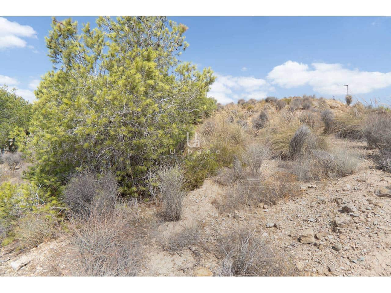 Undeveloped Land for sale in El Esparragal - € 690,000 (Ref: 9976716)