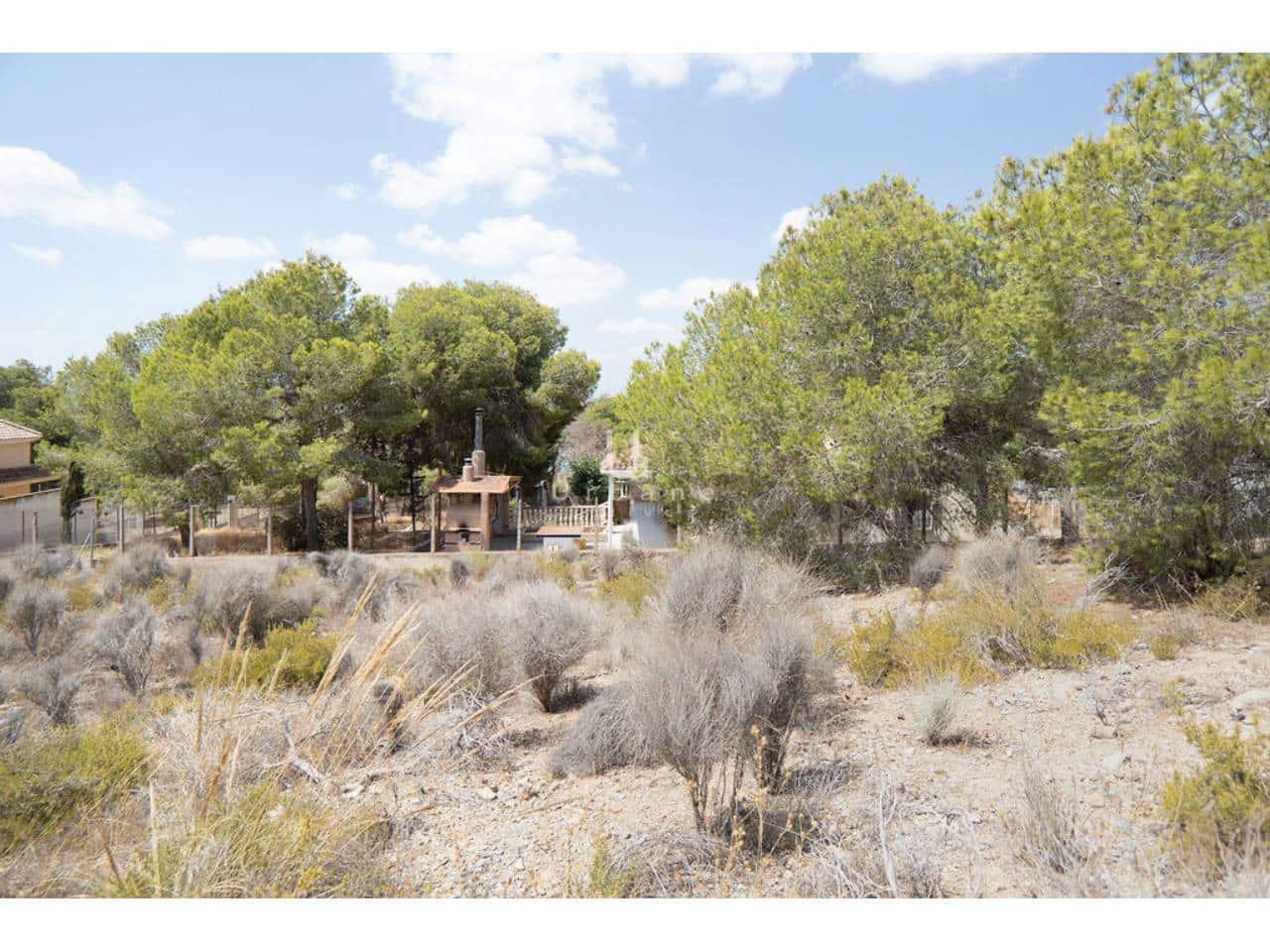 Undeveloped Land for sale in El Esparragal - € 690,000 (Ref: 9976716)