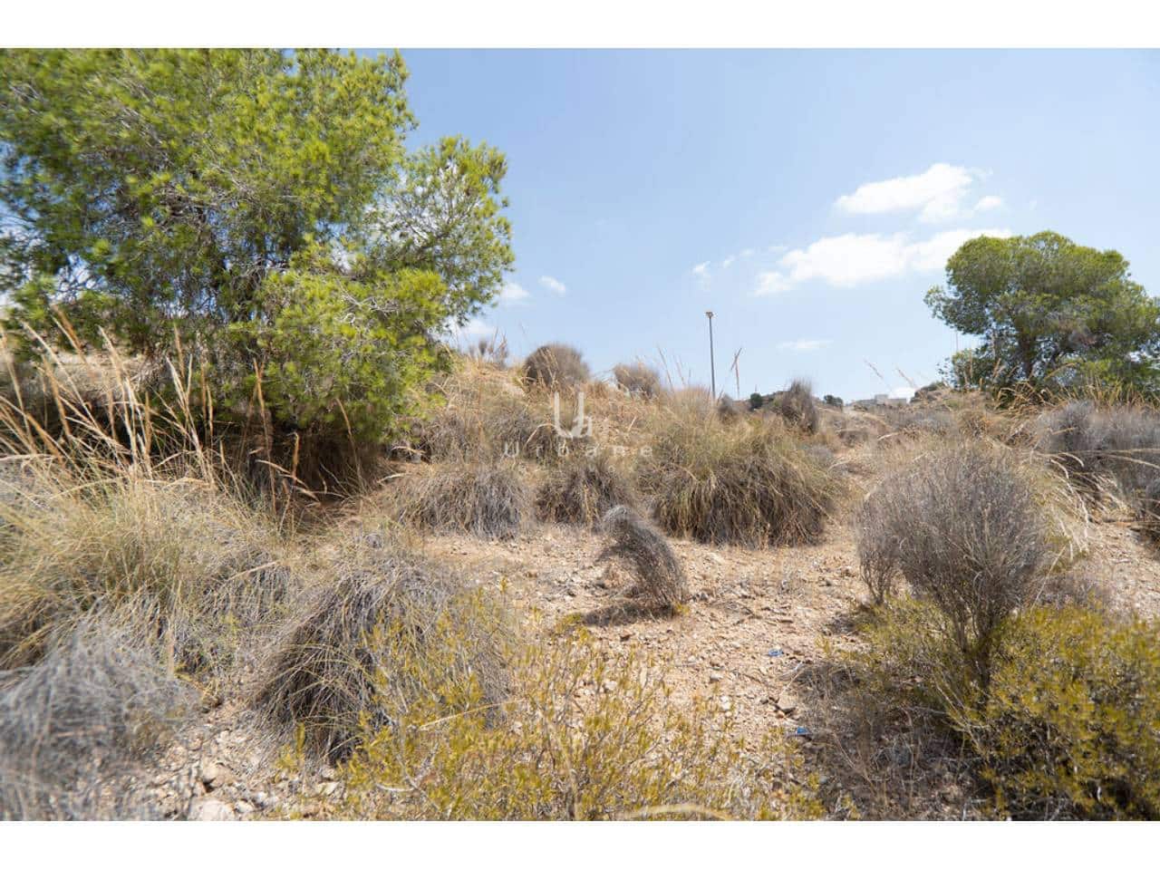 Undeveloped Land for sale in El Esparragal - € 690,000 (Ref: 9976716)