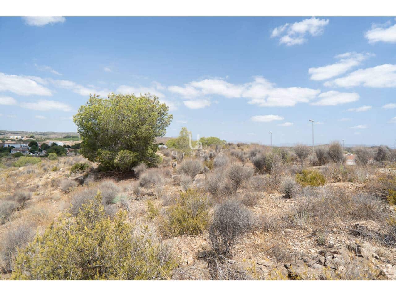 Undeveloped Land for sale in El Esparragal - € 690,000 (Ref: 9976716)