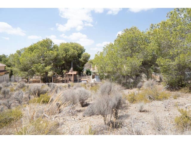Grunde uden byggetilladelser til salg i El Esparragal, Murcia by - € 690.000 (Ref: 9976716)