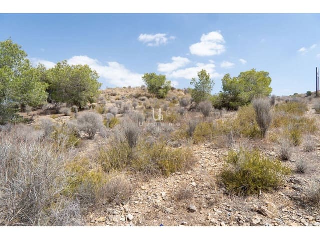 Terreno Non Edificato in vendita in El Esparragal, Murcia città - 690.000 € (Rif: 9976716)