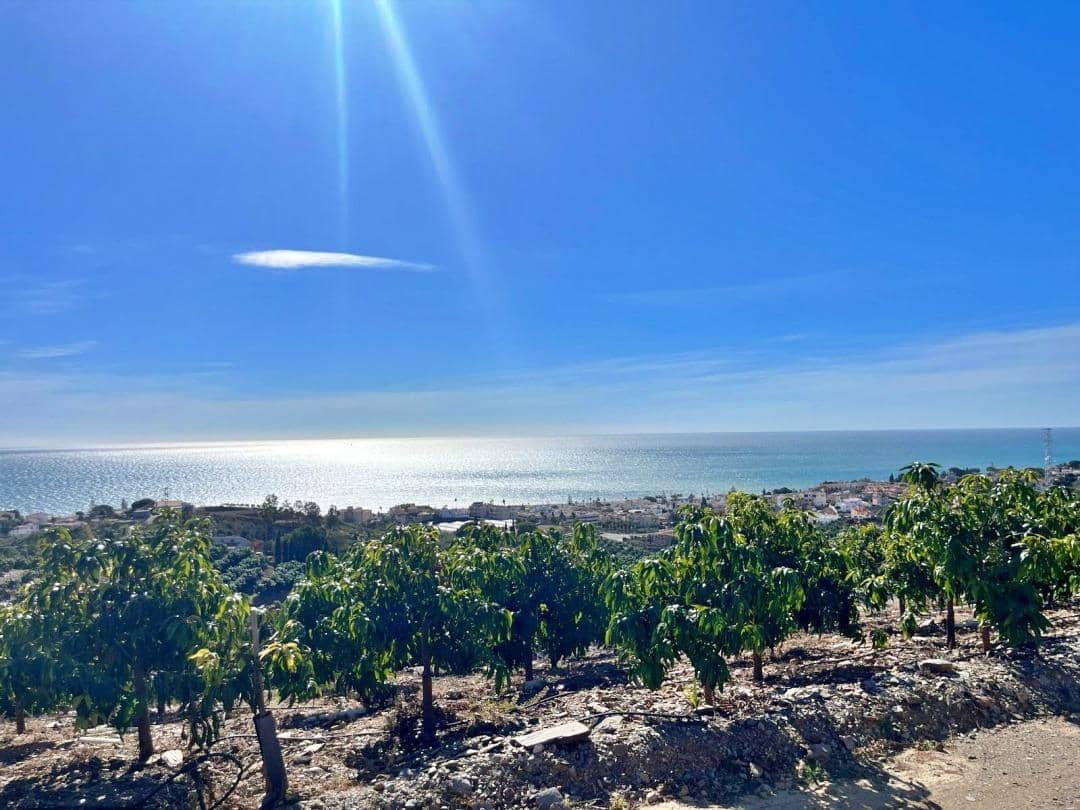 4 camera da letto Villa in vendita in Benajarafe - 1.800.000 € (Rif: 7937782)