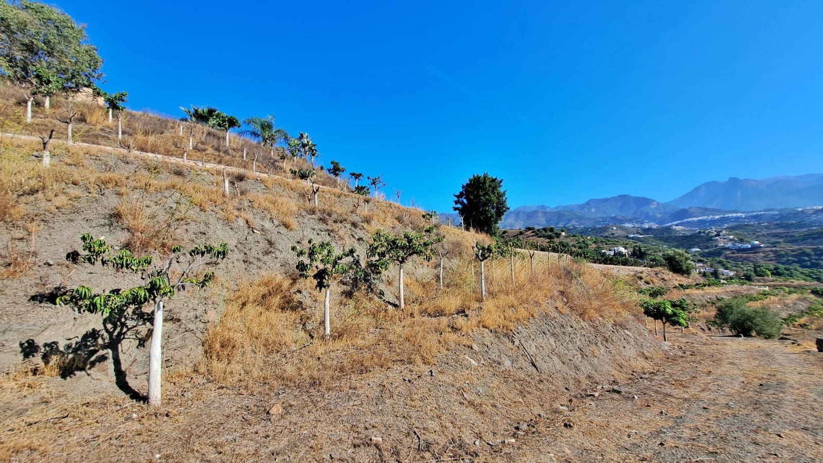 Finka/Dom wiejski na sprzedaż w Frigiliana - 364 850 € (Ref: 8652663)