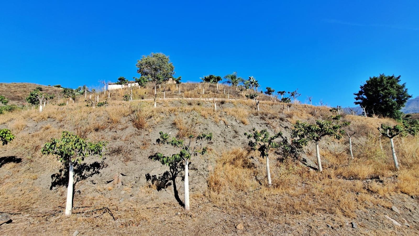 Finka/Dom wiejski na sprzedaż w Frigiliana - 364 850 € (Ref: 8652663)