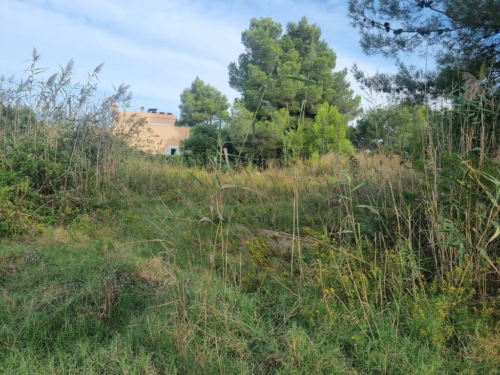Undeveloped Land for sale in Puerto de Alcudia - € 600,000 (Ref: 9927979)
